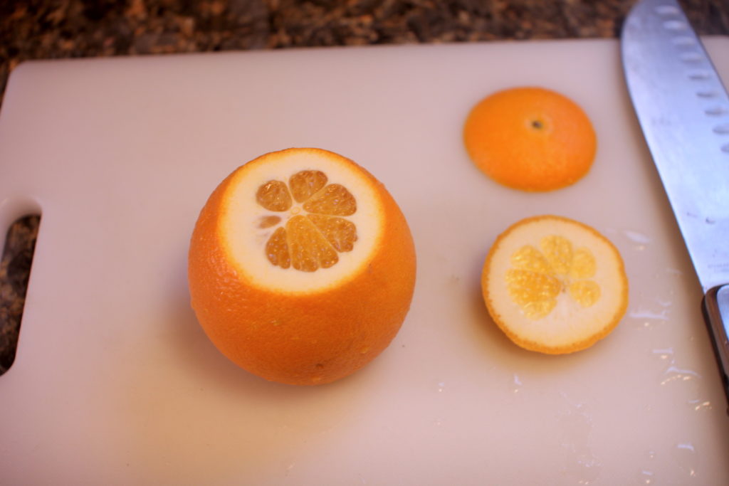 How to segment oranges