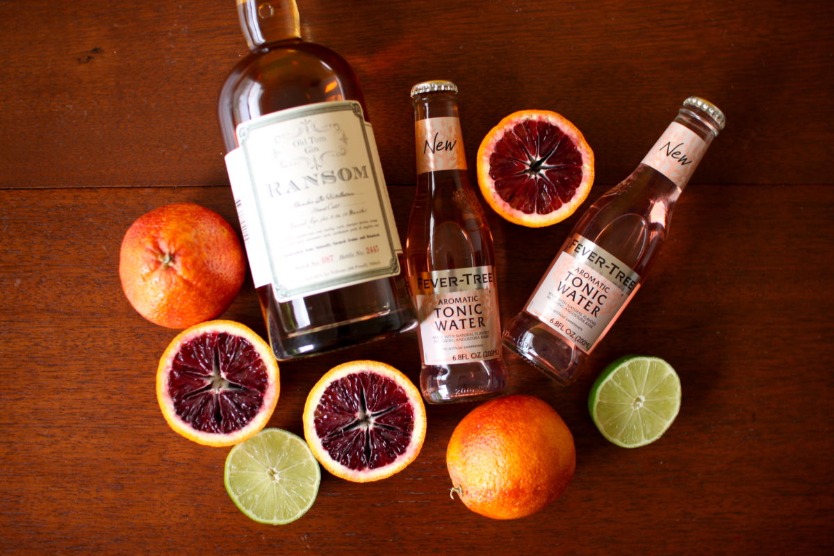 Blood Orange Gin and Tonic Recipe Immoderate Makings