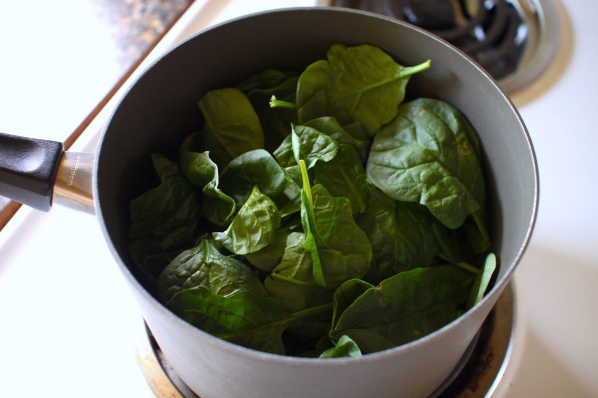 Cheesy Prosciutto Egg Bites Recipe Immoderate Makings